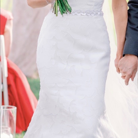 Anne Barge Blue Willow Wedding Dress (Walker style) - Picture 13 of 16